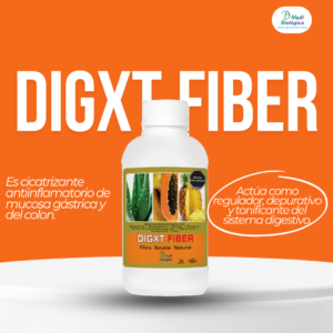 Digxt Fiber